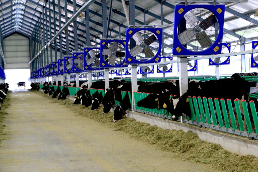 Купить вентиляторы для коров в Казахстане