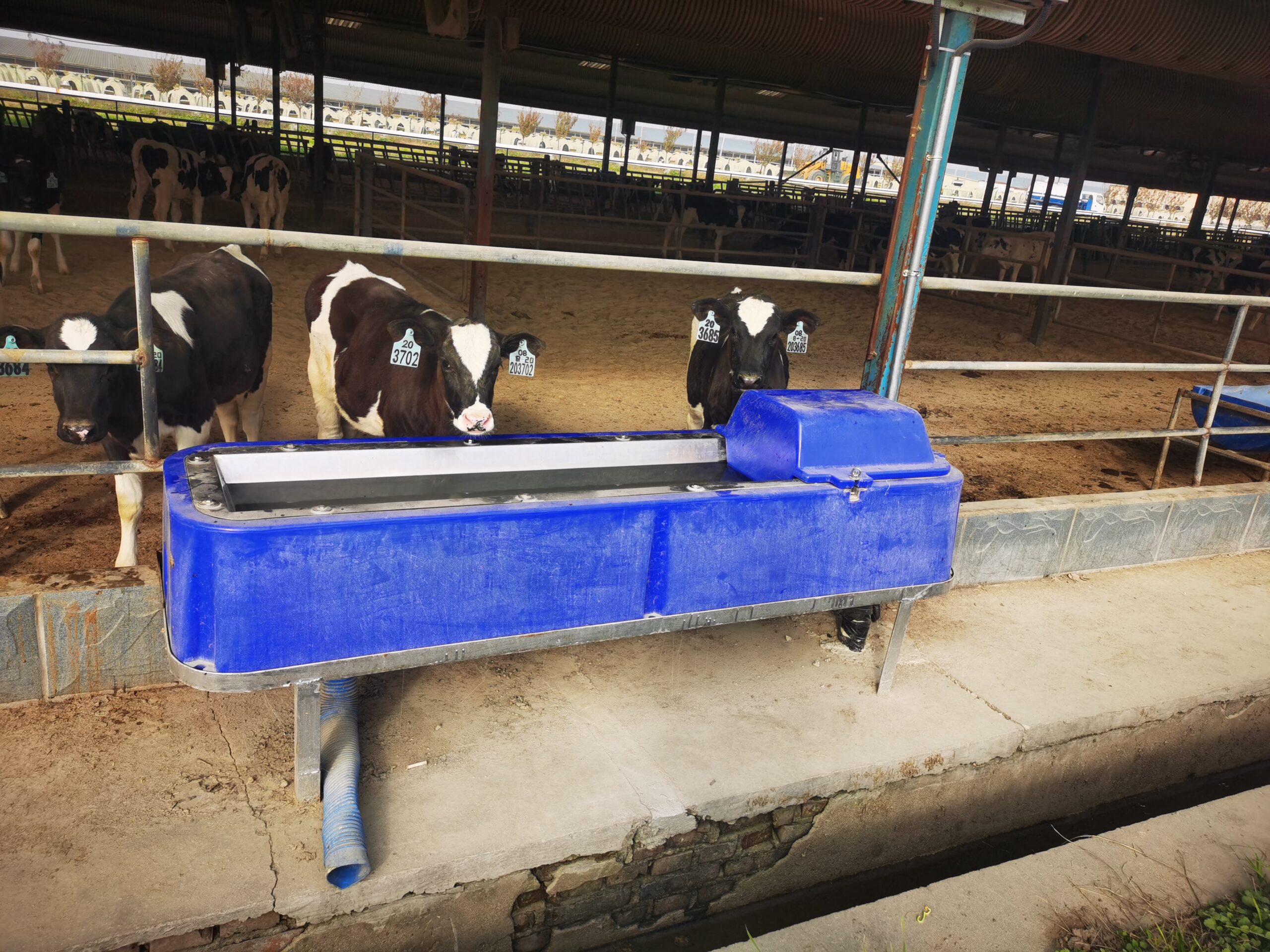 Поилка 4 м открытая (с подогревом) TPT440SSDHT